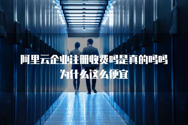 阿里云企业注册收费吗是真的吗吗为什么这么便宜