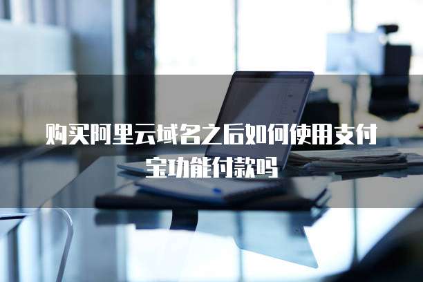 购买阿里云域名之后如何使用支付宝功能付款吗