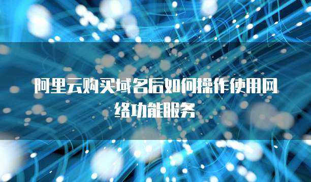 阿里云购买域名后如何操作使用网络功能服务