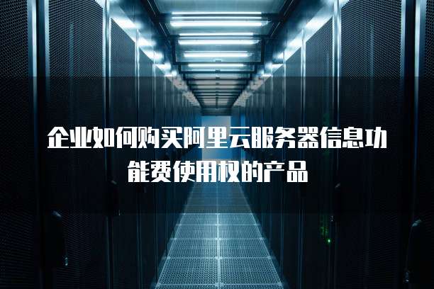 企业如何购买阿里云服务器信息功能费使用权的产品
