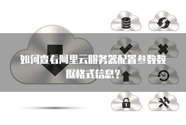 如何查看阿里云服务器配置参数数据格式信息？