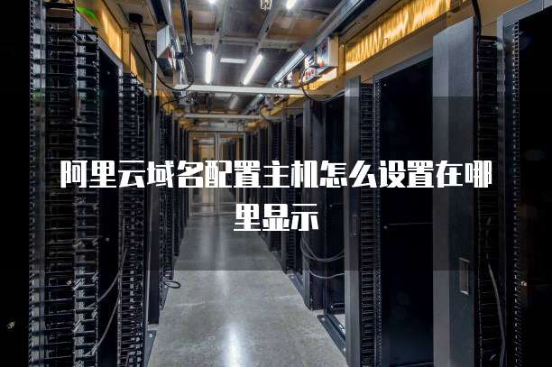 阿里云域名配置主机怎么设置在哪里显示