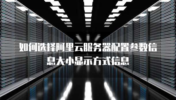 如何选择阿里云服务器配置参数信息大小显示方式信息