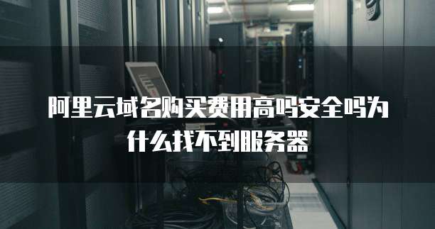 阿里云域名购买费用高吗安全吗为什么找不到服务器