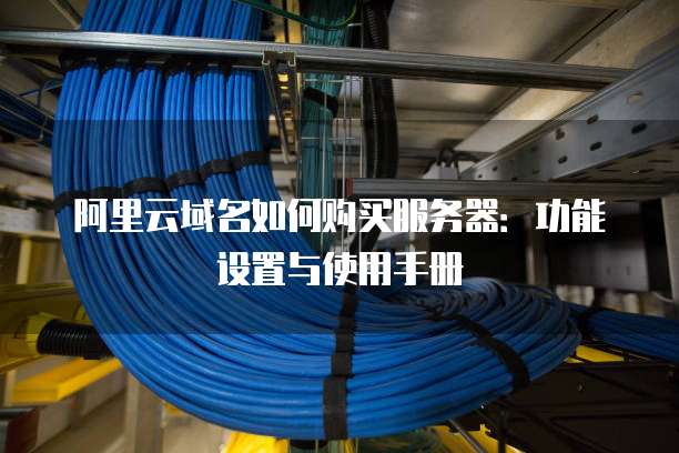 阿里云域名如何购买服务器:功能设置与使用手册