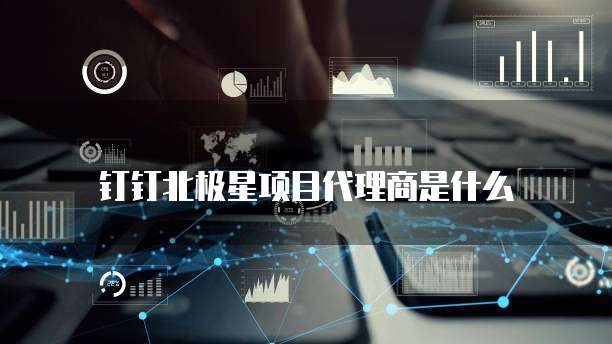 钉钉北极星项目代理商是什么