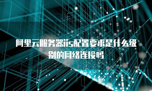 阿里云服务器iis配置要求是什么级别的网络连接吗