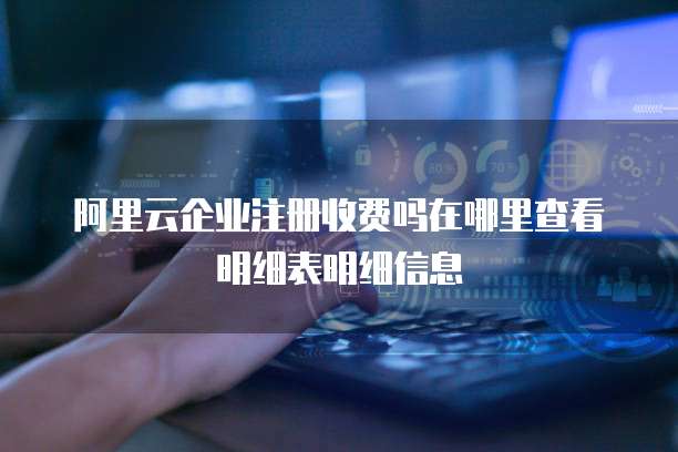 阿里云企业注册收费吗在哪里查看明细表明细信息