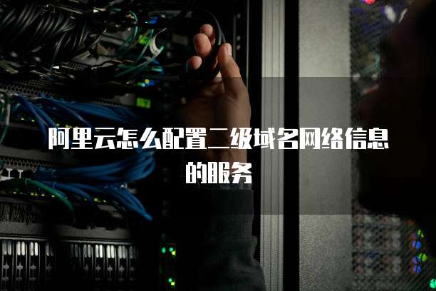 阿里云怎么配置二级域名网络信息的服务