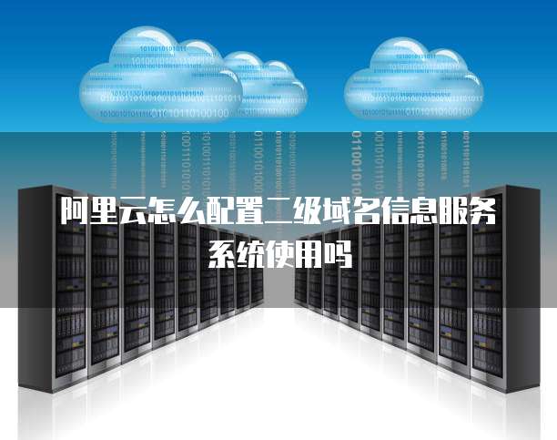 阿里云怎么配置二级域名信息服务系统使用吗