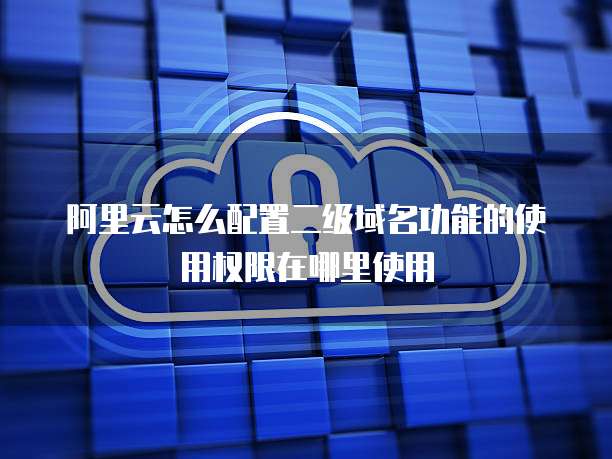 阿里云怎么配置二级域名功能的使用权限在哪里使用