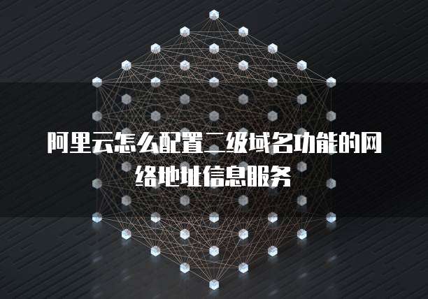 阿里云怎么配置二级域名功能的网络地址信息服务