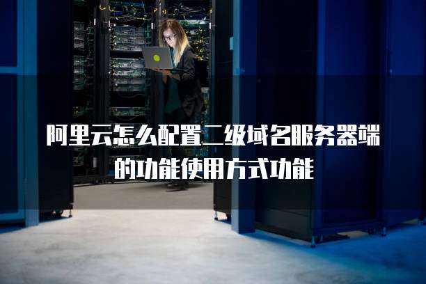 阿里云怎么配置二级域名服务器端的功能使用方式功能
