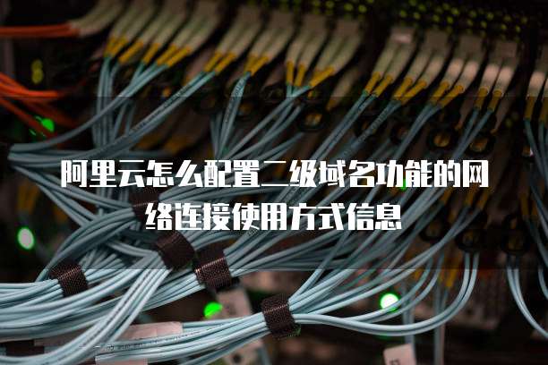 阿里云怎么配置二级域名功能的网络连接使用方式信息
