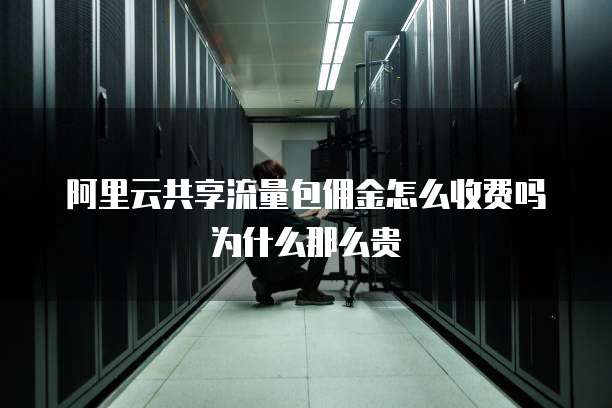 阿里云共享流量包佣金怎么收费吗为什么那么贵
