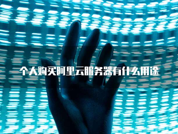 个人购买阿里云服务器有什么用途