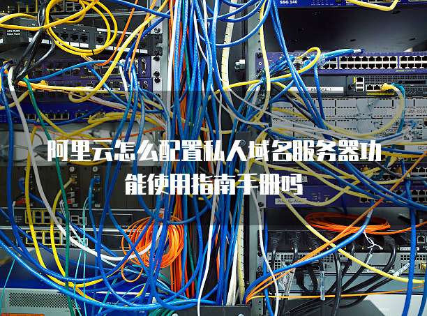 阿里云怎么配置私人域名服务器功能使用指南手册吗