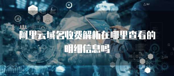 阿里云域名收费解析在哪里查看的明细信息吗