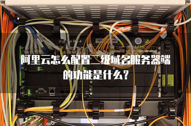 阿里云怎么配置二级域名服务器端的功能是什么？