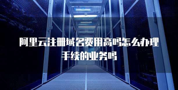 阿里云注册域名费用高吗怎么办理手续的业务吗
