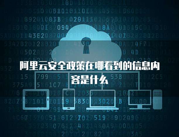 阿里云安全政策在哪看到的信息内容是什么