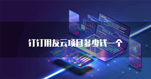 钉钉用友云项目多少钱一个