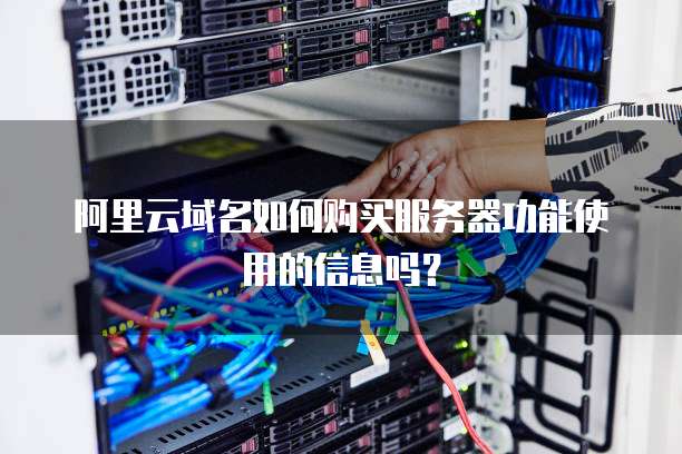 阿里云域名如何购买服务器功能使用的信息吗?