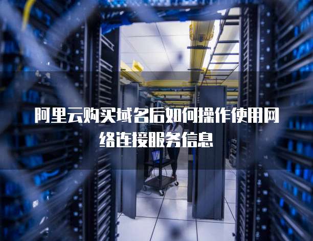 阿里云购买域名后如何操作使用网络连接服务信息