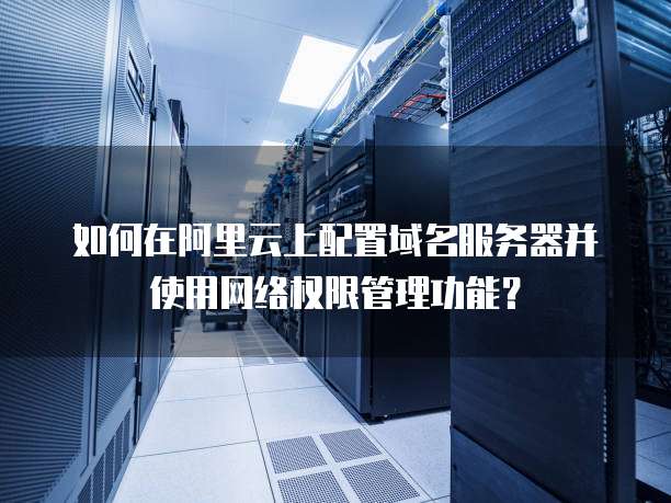 如何在阿里云上配置域名服务器并使用网络权限管理功能?