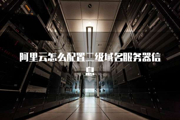 阿里云怎么配置二级域名服务器信息