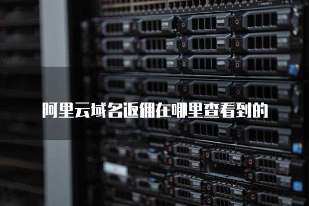 阿里云域名返佣在哪里查看到的