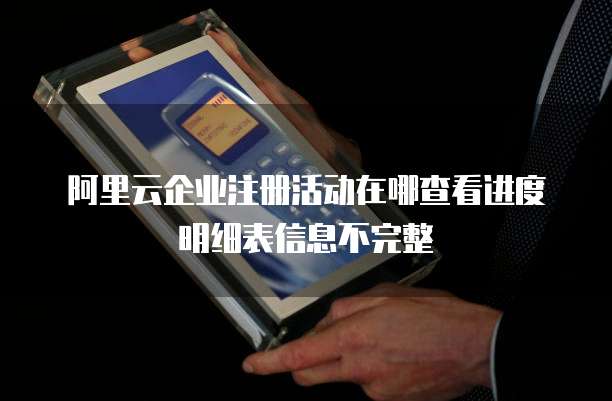 阿里云企业注册活动在哪查看进度明细表信息不完整