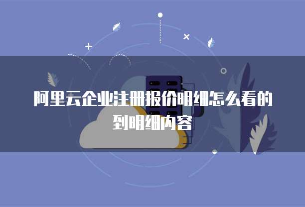 阿里云企业注册报价明细怎么看的到明细内容