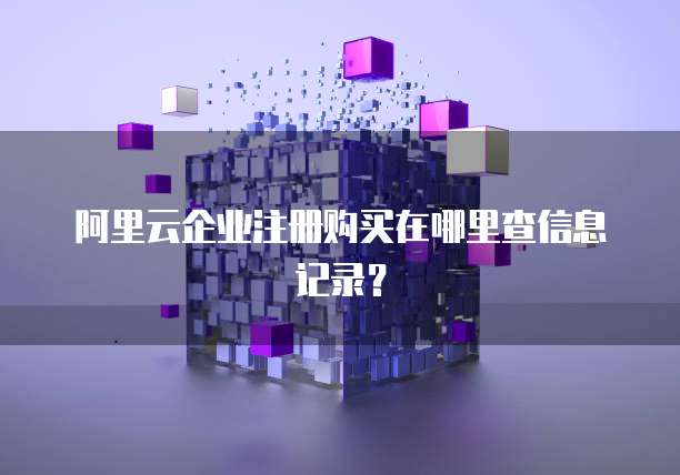阿里云企业注册购买在哪里查信息记录？