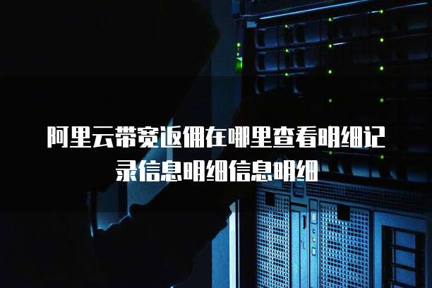 阿里云带宽返佣在哪里查看明细记录信息明细信息明细