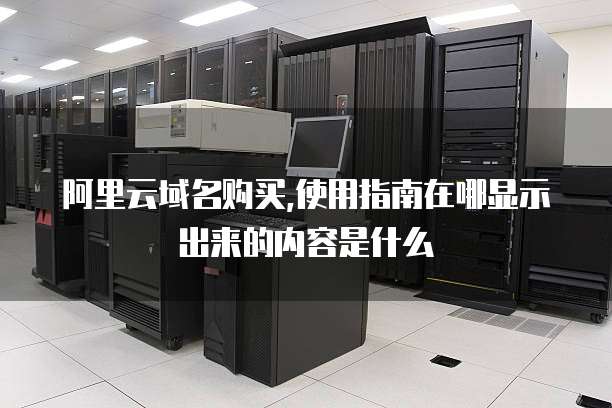 阿里云域名购买,使用指南在哪显示出来的内容是什么