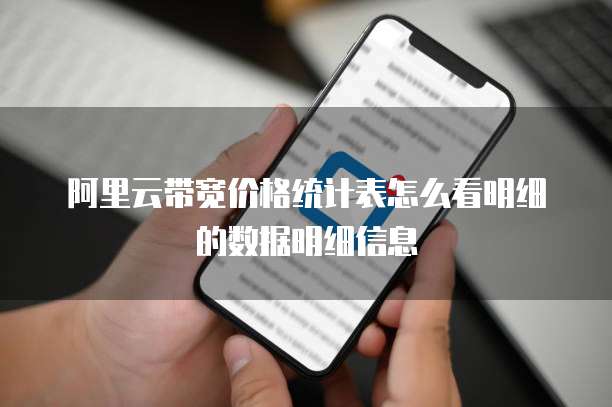 阿里云带宽价格统计表怎么看明细的数据明细信息