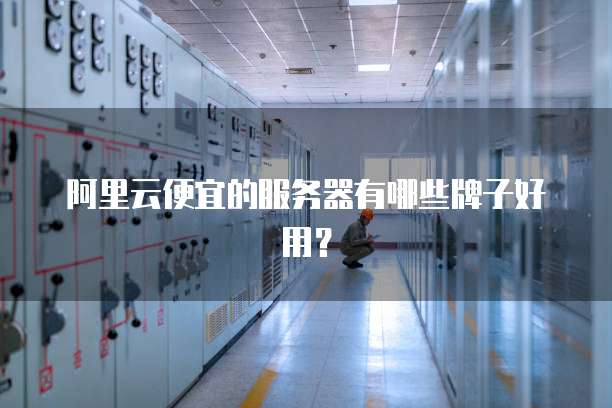 阿里云便宜的服务器有哪些牌子好用？