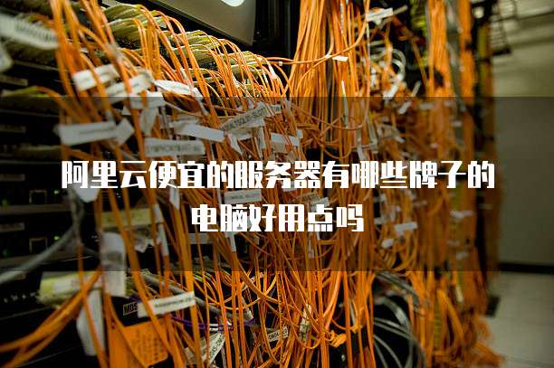阿里云便宜的服务器有哪些牌子的电脑好用点吗
