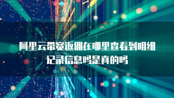 阿里云带宽返佣在哪里查看到明细记录信息吗是真的吗