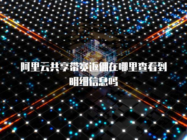 阿里云共享带宽返佣在哪里查看到明细信息吗