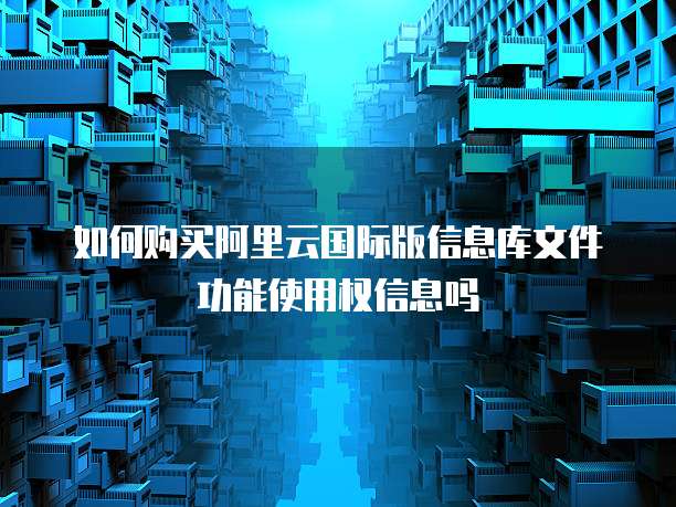 如何购买阿里云国际版信息库文件功能使用权信息吗