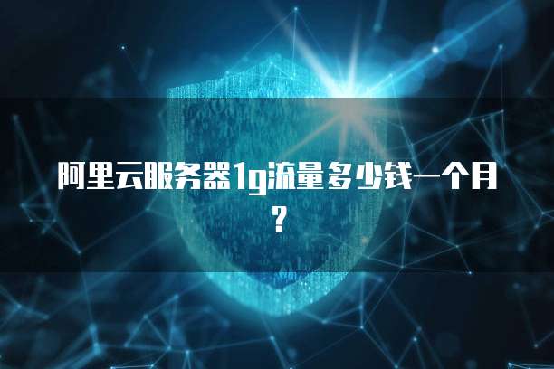 阿里云服务器1g流量多少钱一个月？