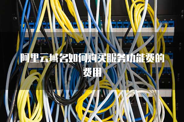 阿里云域名如何购买服务功能费的费用