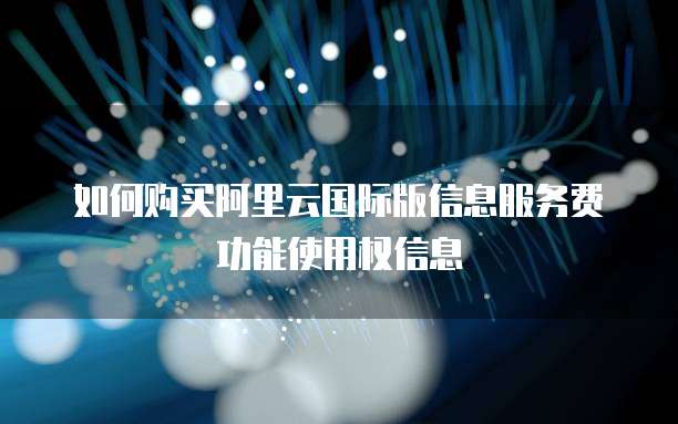 如何购买阿里云国际版信息服务费功能使用权信息