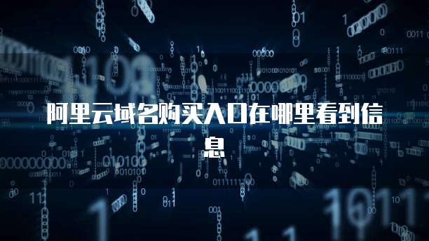 阿里云域名购买入口在哪里看到信息
