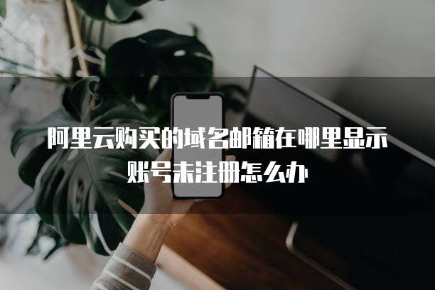 阿里云购买的域名邮箱在哪里显示账号未注册怎么办