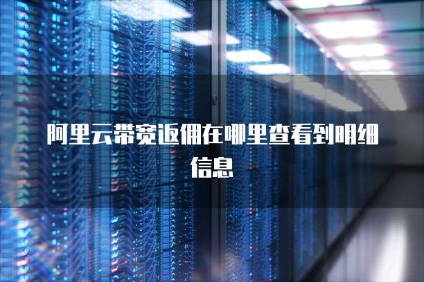 阿里云带宽返佣在哪里查看到明细信息
