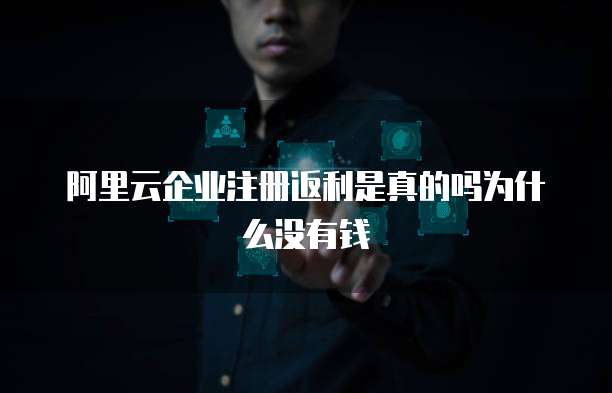 阿里云企业注册返利是真的吗为什么没有钱