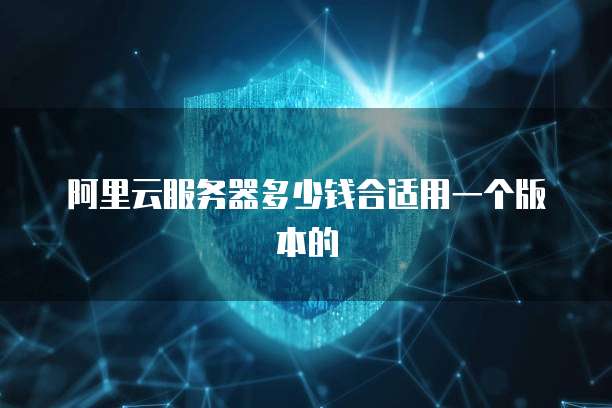 阿里云服务器多少钱合适用一个版本的